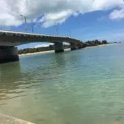harrrの画像