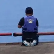 おいもの画像