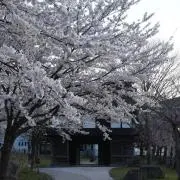 ぽっきー