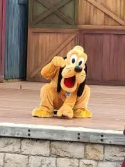 ぷるみきの画像