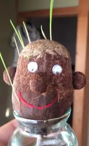 ノブさんの画像
