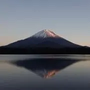 にょさんの画像