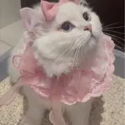 mariの画像