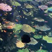 YUKAKENの画像