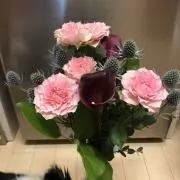Myukoの画像