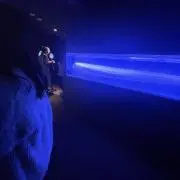 へぽの画像