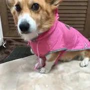 ＊らむ＊の画像