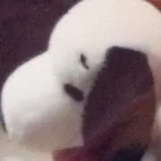 砂