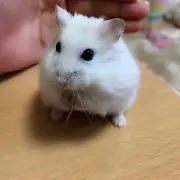 から
