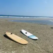 ☆ゆら☆の画像