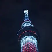 こじの画像