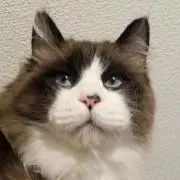さっつん♪