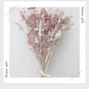 aoiの画像