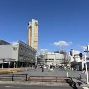 【⚠️9月2日まで発送不可】Narukiの画像