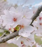Image of なっちゃん
