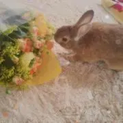 ポン酢✧*