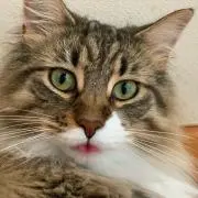 むぎ【プロフ必読】の画像