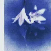 yuの画像