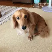 ひろあ