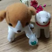Asaの画像