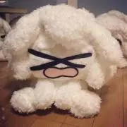 おもち