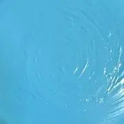 MAYAの画像