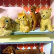 みぃみぃの画像