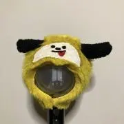 chicchiの画像
