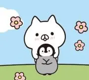 りんこの画像