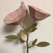 ちかえの画像