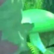 ぷぴぱぷ