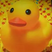 ピッピ☆