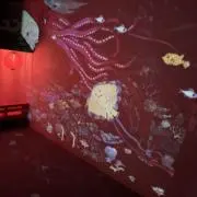 まやの画像