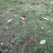 ちその画像