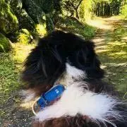 JOHNの画像