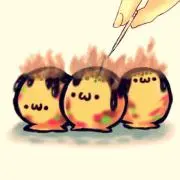 こたろの画像