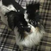 涼すず⁂プロフ必読⁂