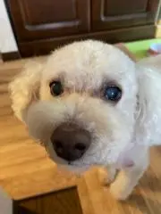 ラムっちの画像