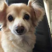 あや♪