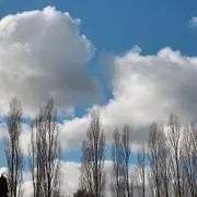 mihiの画像