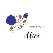 Alice__shop☺︎