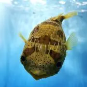 ユウ❧匿名配送可能の画像