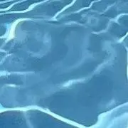 いっちゃんの画像