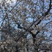 パフェ♡