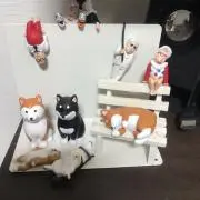 ロココの画像