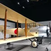 Ｔの画像