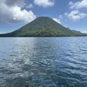 マサオ55の画像