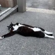 英検一級君