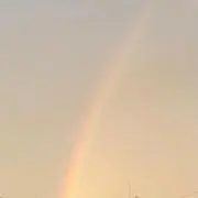いちごの画像