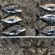 まさプロフ必見